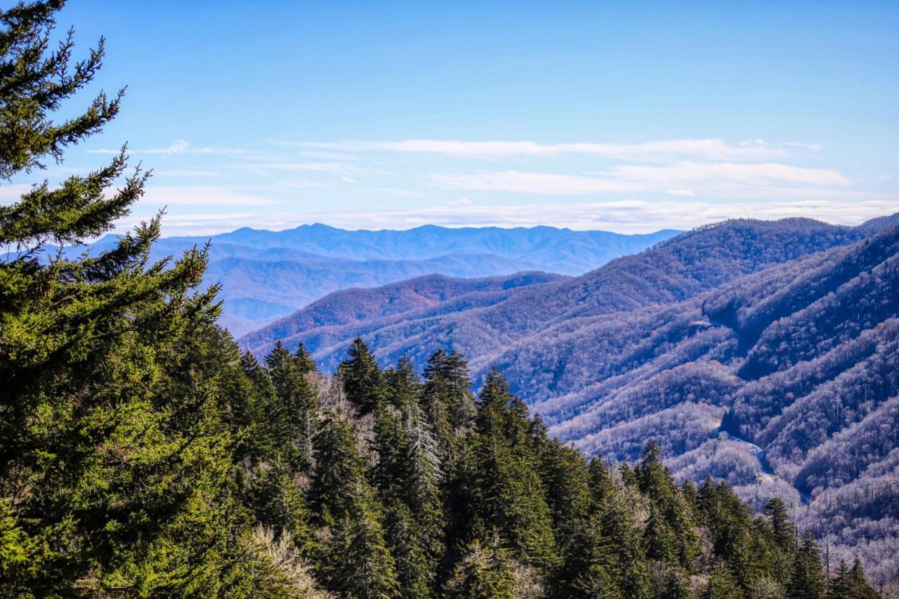 Holly Berry Villa Pigeon Forge Dış mekan fotoğraf
